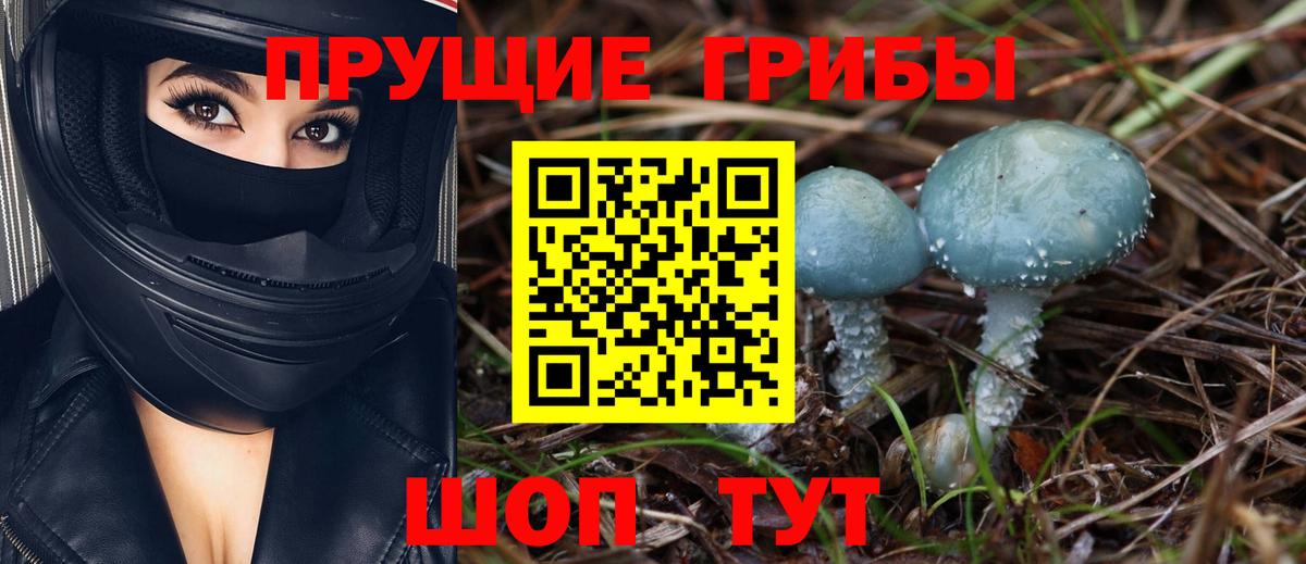 Галлюциногенные грибы Psilocybine cubensis  Вход с VPN  Касимов 